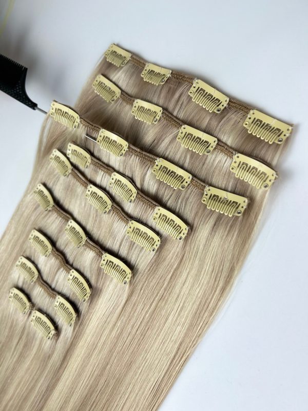 Regular Clip in Hair Extension